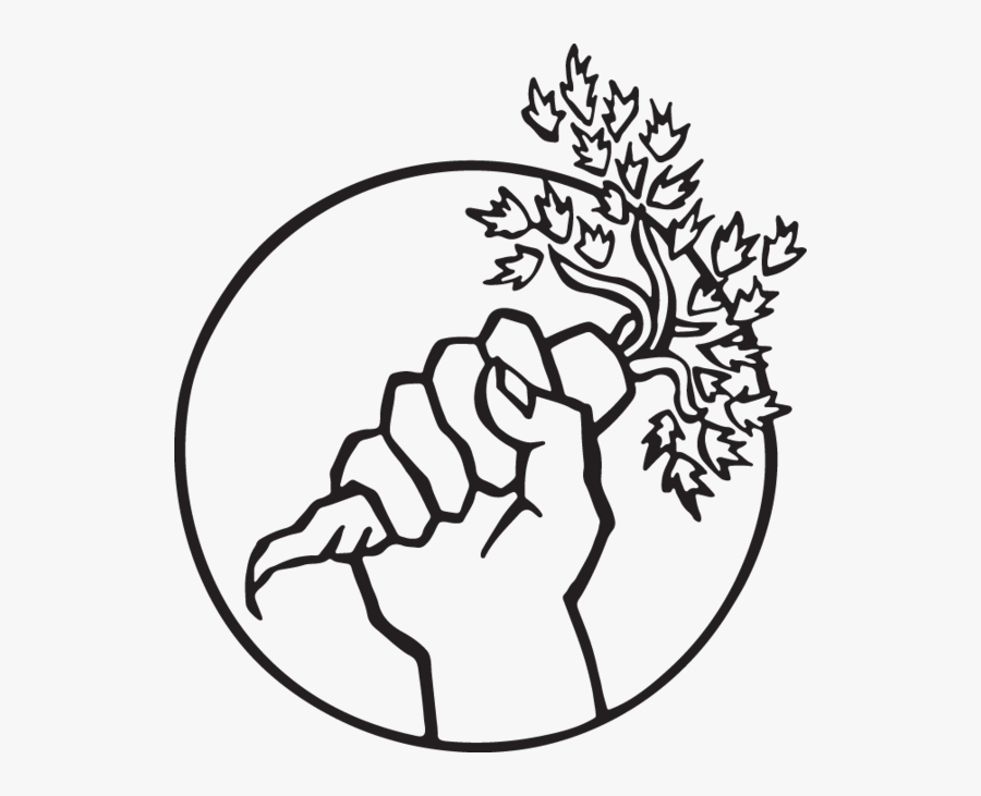 Food Not Bombs Logo, Transparent Clipart