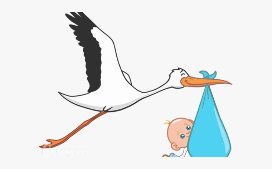 Stork Clipart Transparent , Png Download - Stork Baby Transparent Background, Transparent Clipart
