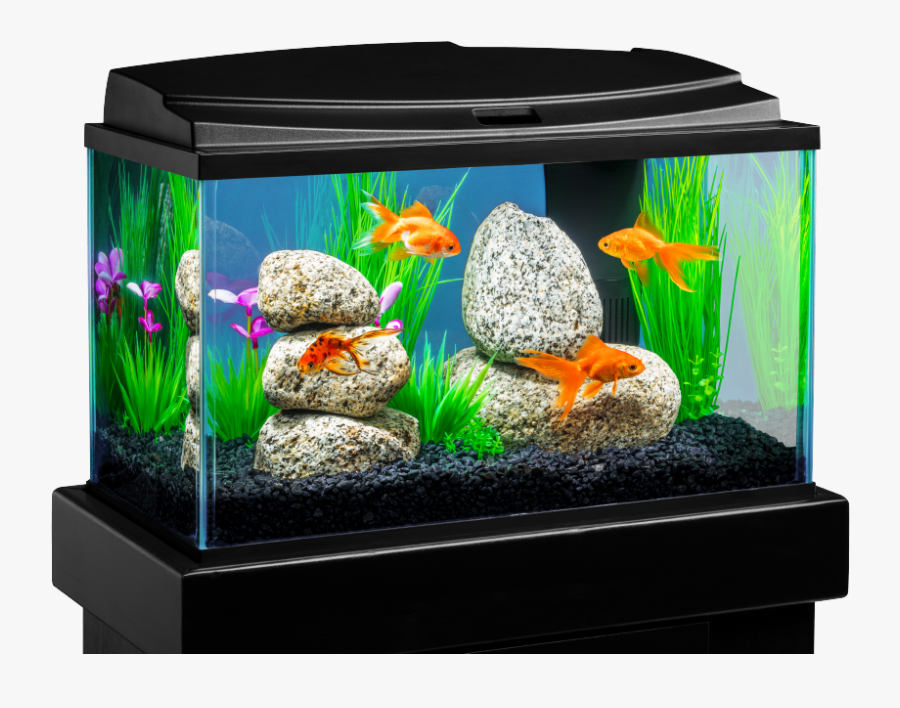 Transparent Fish Tank Clipart - Fish Tank Png, Transparent Clipart