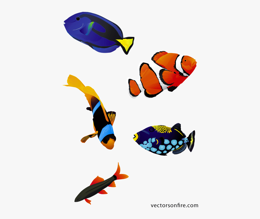 Fish Aquarium Png, Transparent Clipart