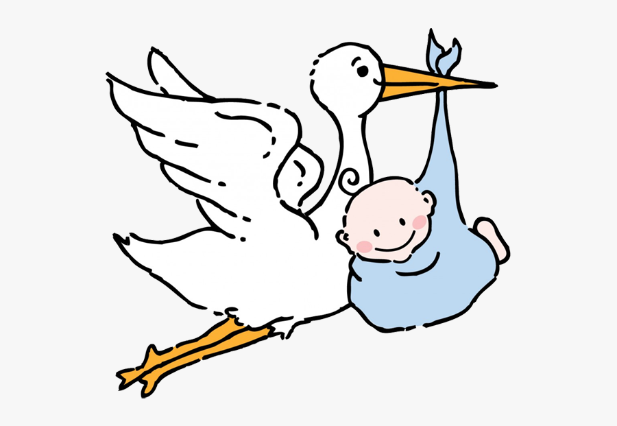 Home Page Associazione Cicogna - Baby And Stork Clipart, Transparent Clipart