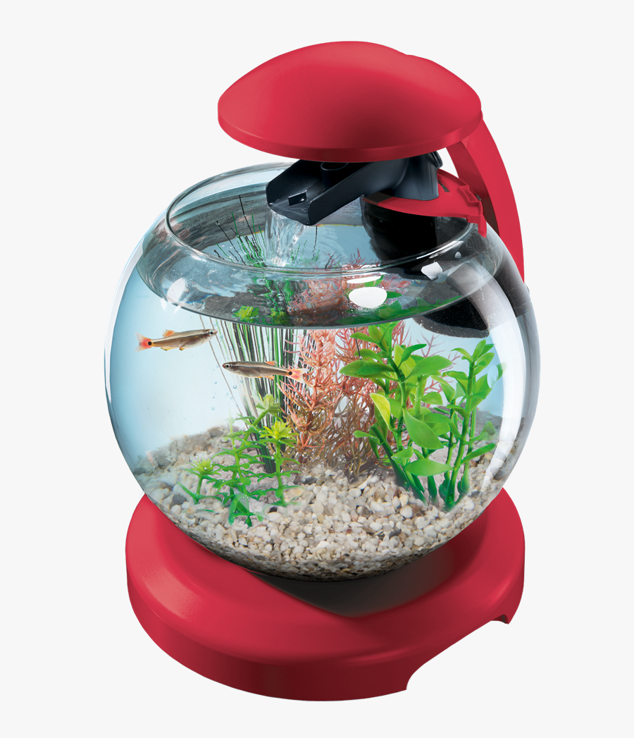 Clipart Filter Tetra Aquarium - Tetra Cascade Globe Price, Transparent Clipart