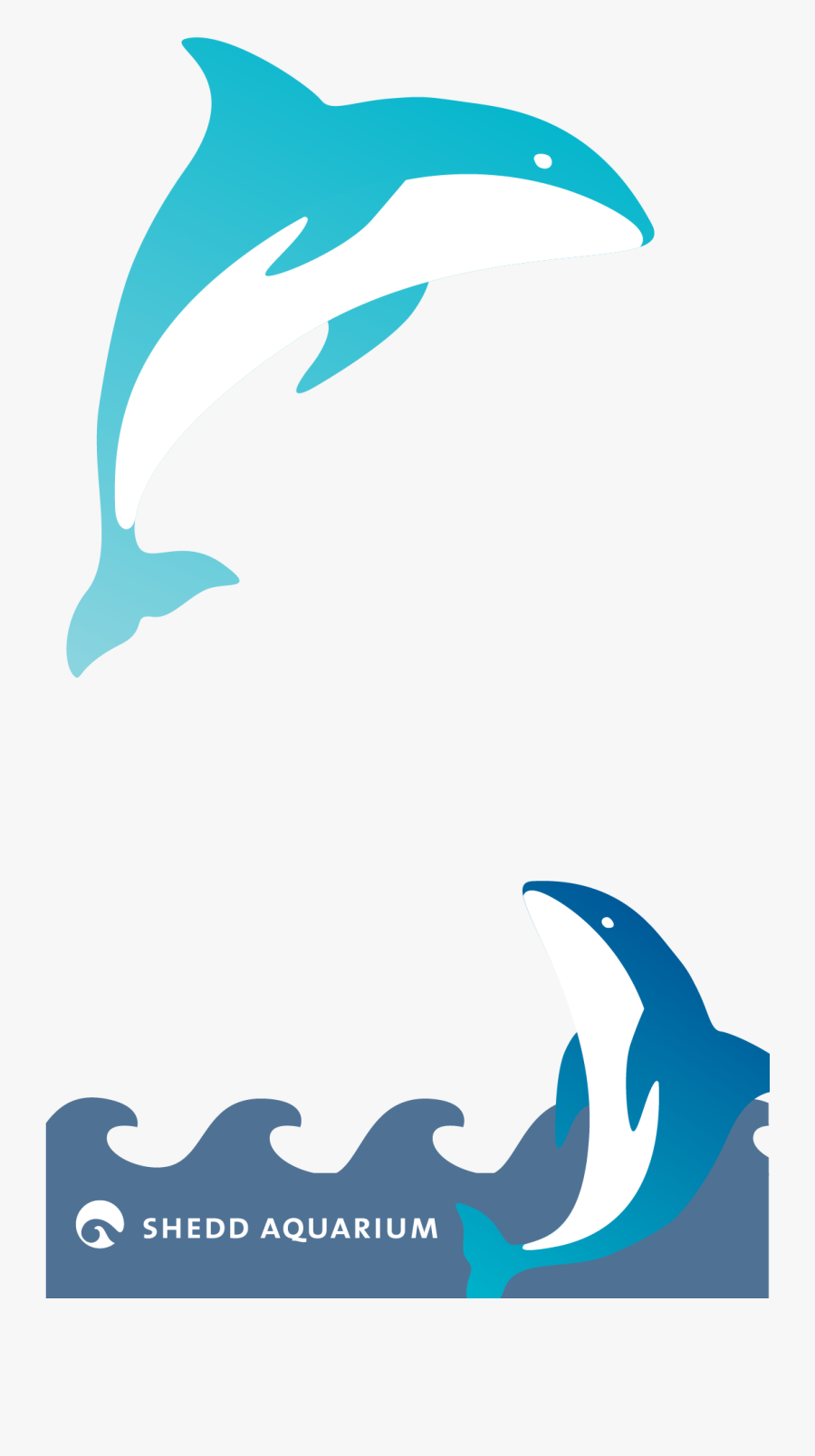 Clipart Rainbow Dolphin - Aquarium Snapchat Filter, Transparent Clipart