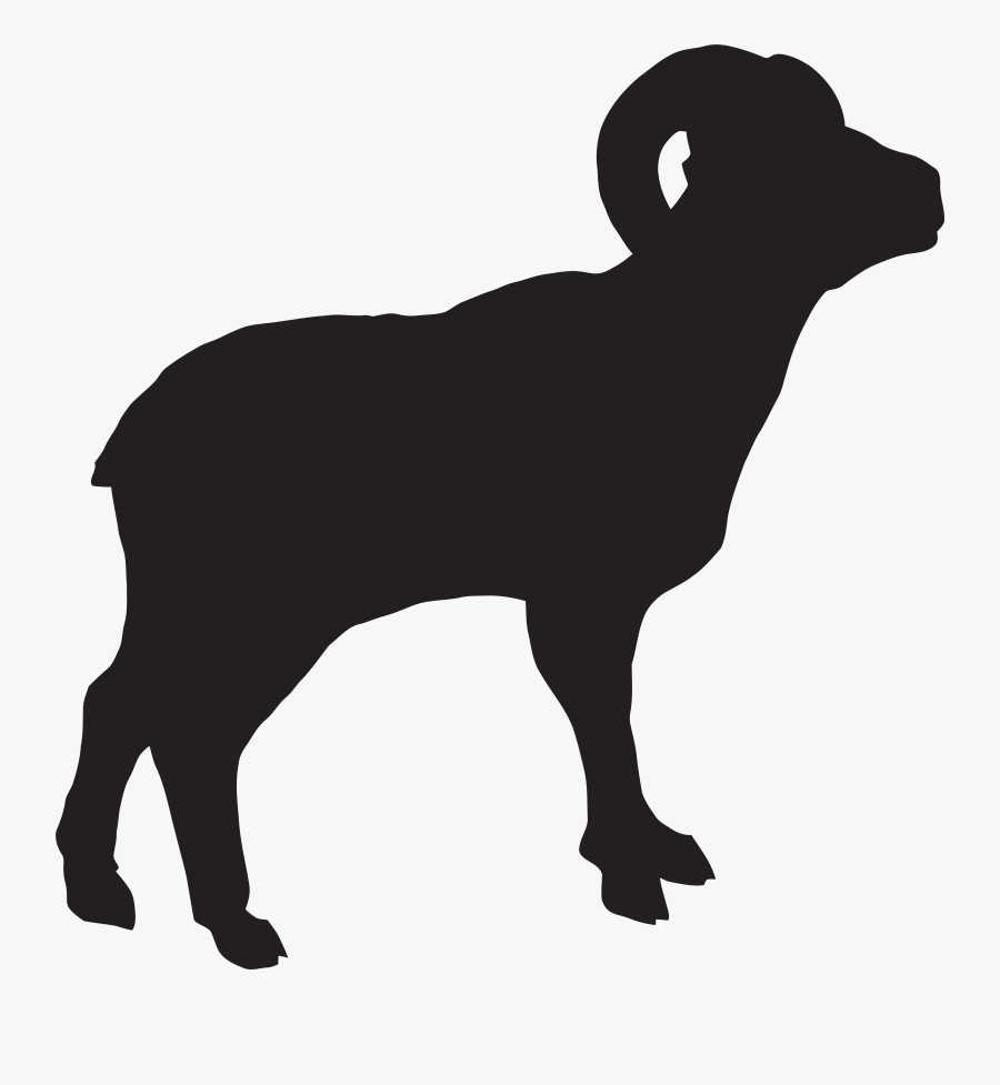Amazing Sheep And Lamb, Transparent Clipart