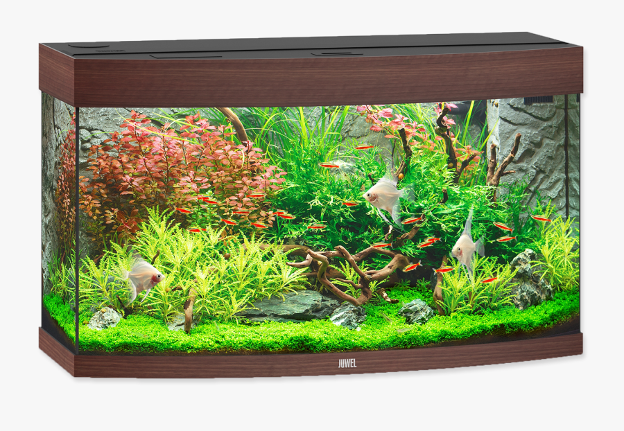 Aquarium Png - Juwel Vision 180, Transparent Clipart