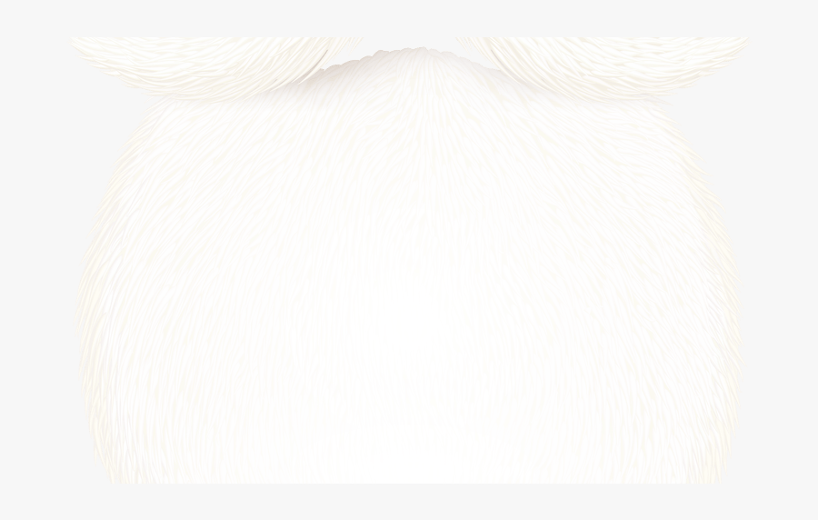 Transparent Santa Beard Clipart - White Stork, Transparent Clipart