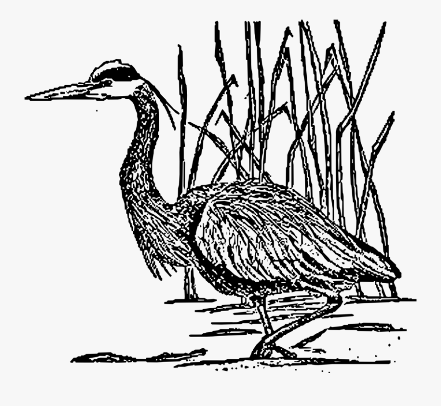 Art,fowl,beak - Clipart Blue Heron Png, Transparent Clipart