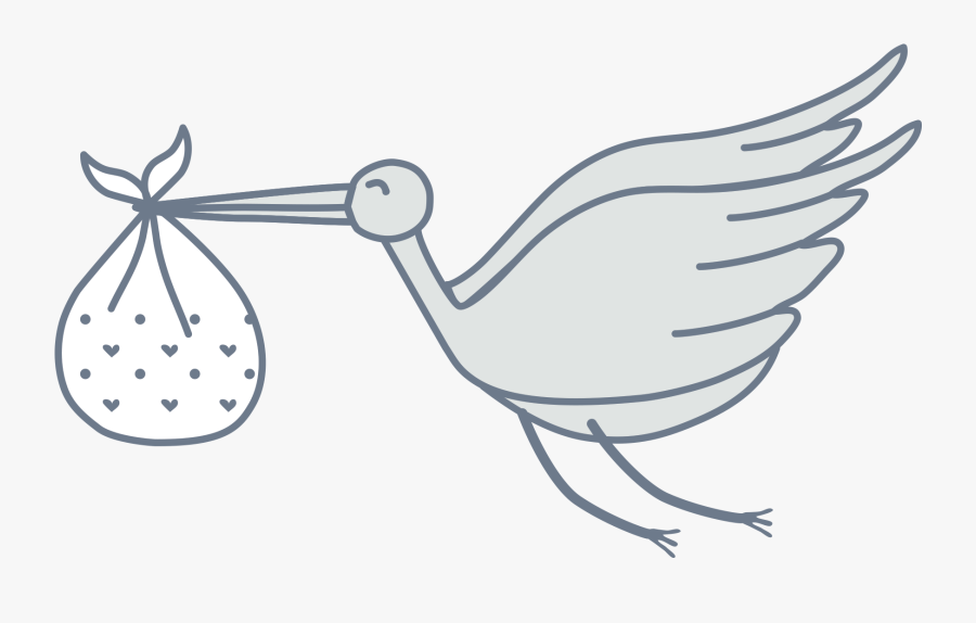 Ciconiiformes, Transparent Clipart