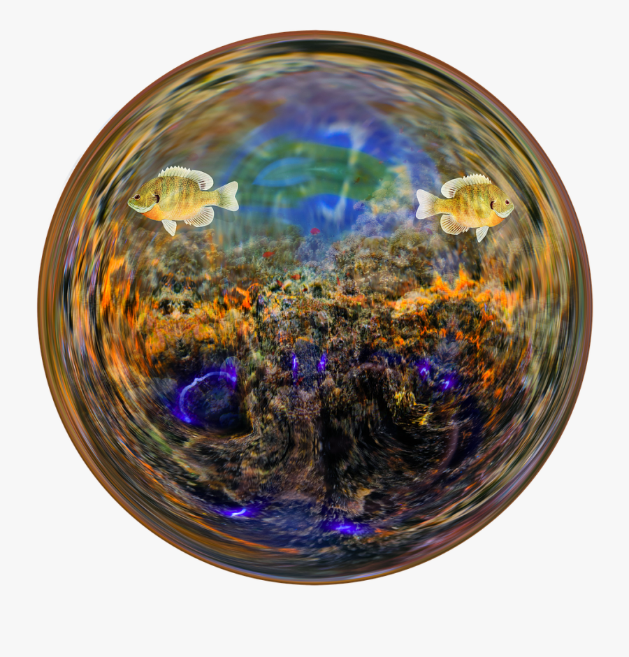 Fish Aquarium Water Glass Ball Png Image - Sphere, Transparent Clipart