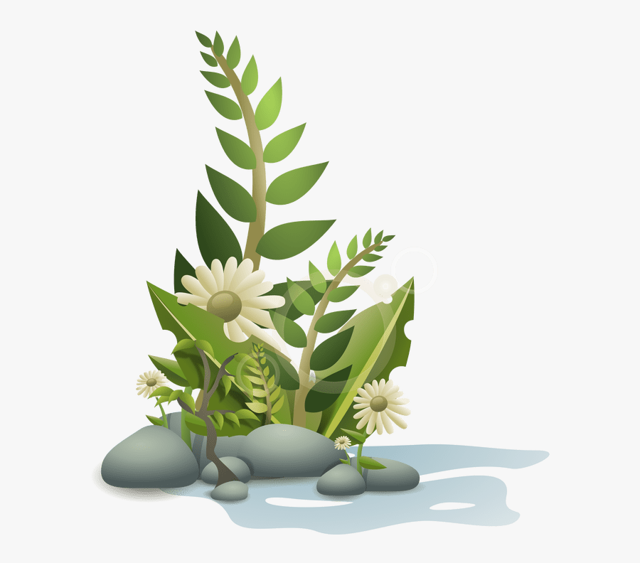 Aquarium Plants Clipart - Plants Clipart, Transparent Clipart
