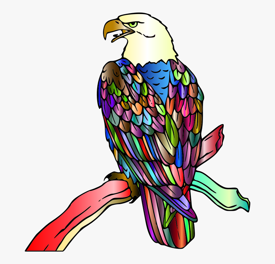 Eagle,falconiformes,kite - Eagle Clip Art, Transparent Clipart