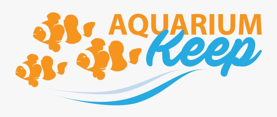 "setup Your Fish Tank Or Aquarium Today - Aquarium Fish Logo Png, Transparent Clipart