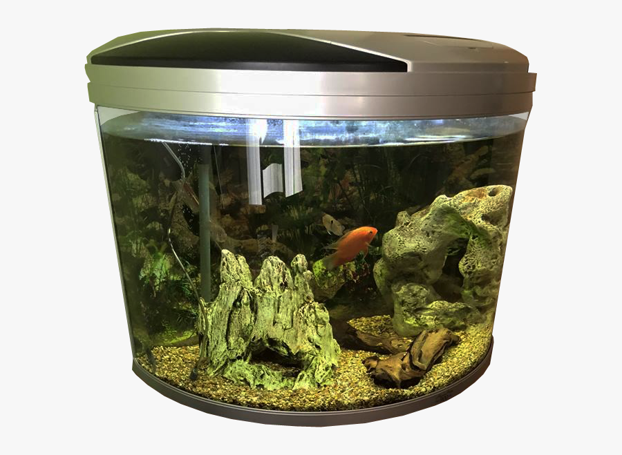 Transparent Tanks Clipart - Fish Tank No Background, Transparent Clipart