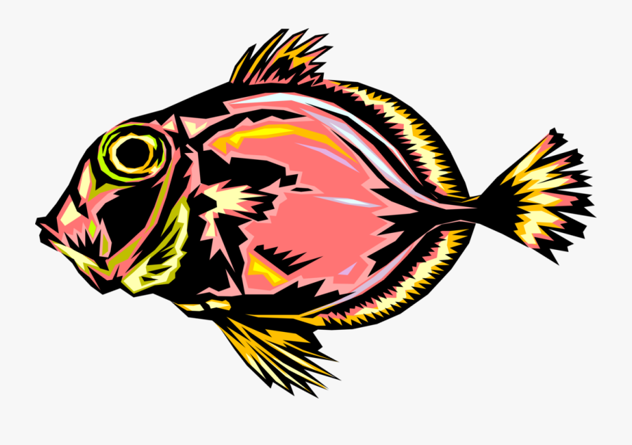 Vector Illustration Of Aquarium Tropical Fish, Transparent Clipart