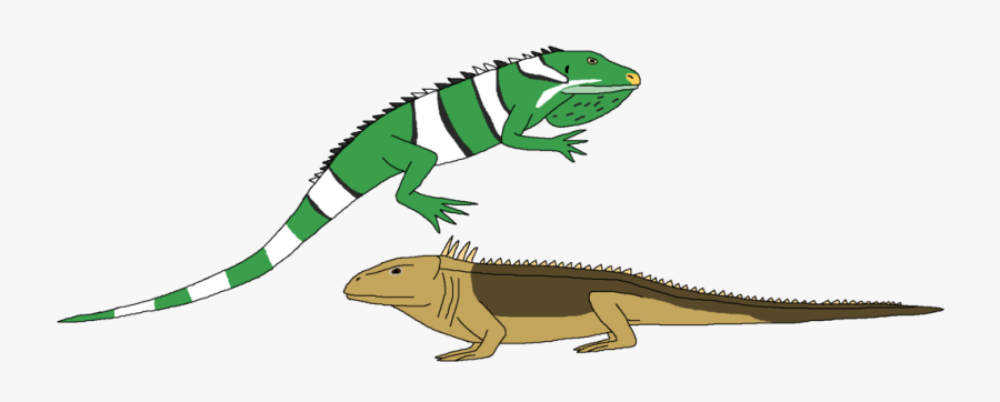 Iguana Clipart Real - Chameleon, Transparent Clipart