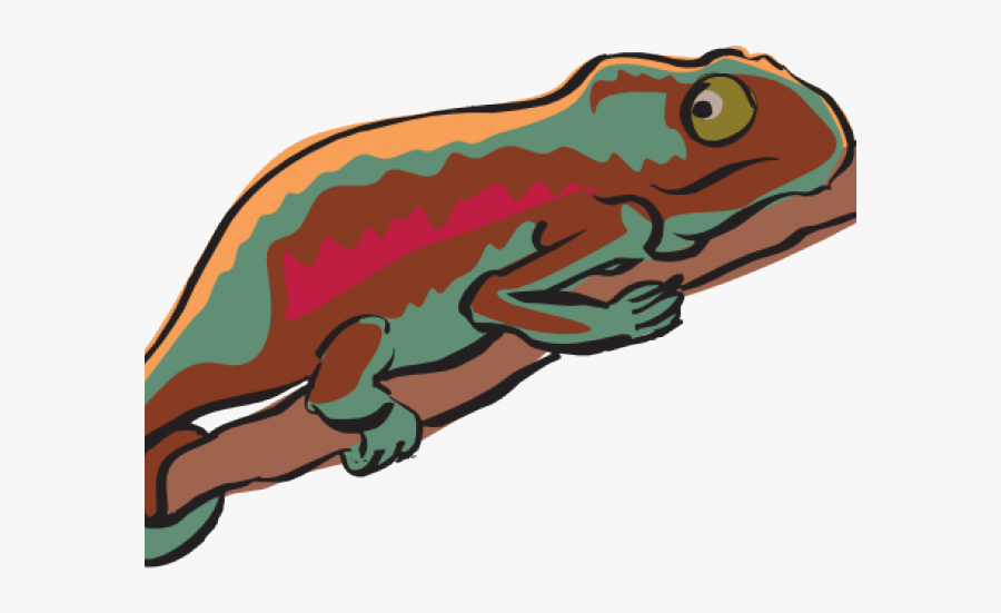 Chameleon Cliparts - Ve Cach Dieu Trang Tri Tac Ke, Transparent Clipart