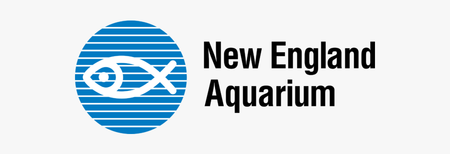 Aquarium Clipart, Transparent Clipart