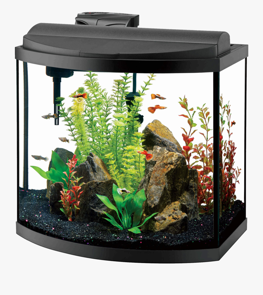 Fish Tank Png - Aqueon 16 Gallon Bow Front Aquarium, Transparent Clipart