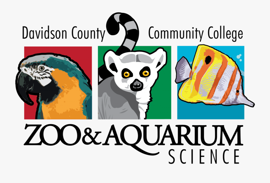 Transparent Suzy Zoo Clipart - Davidson Community College Zoo, Transparent Clipart