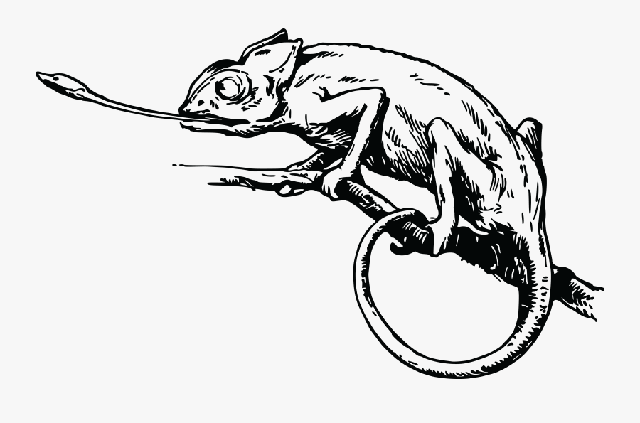 Banner Black And White Chameleon Clipart Logo - Animal In Camouflage To Draw, Transparent Clipart