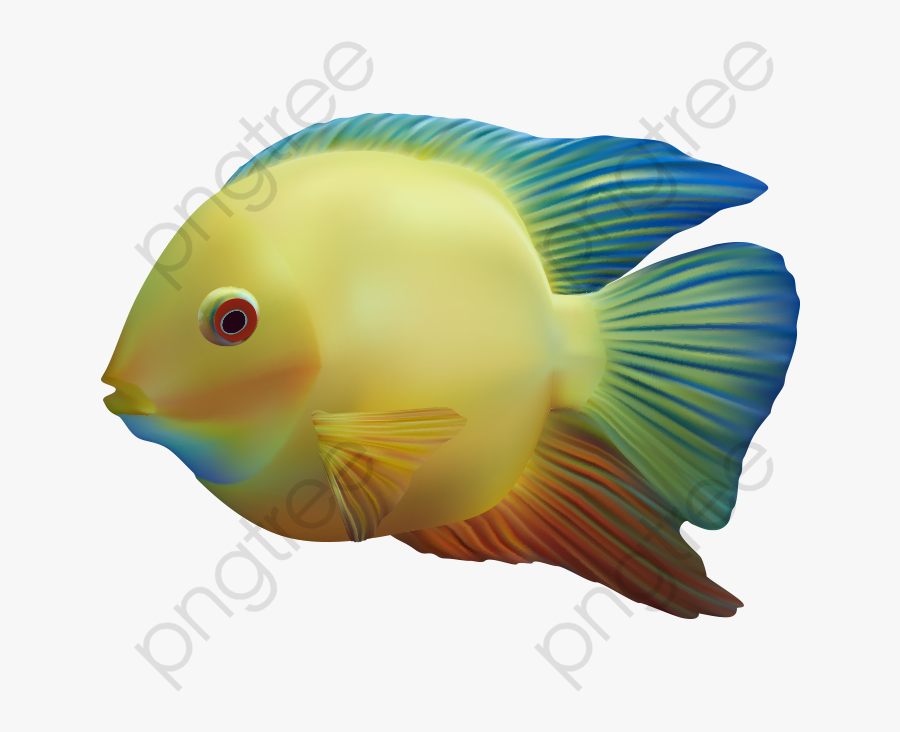 Fish Clipart Png Download - Transparent Background Ocean Fish Png, Transparent Clipart