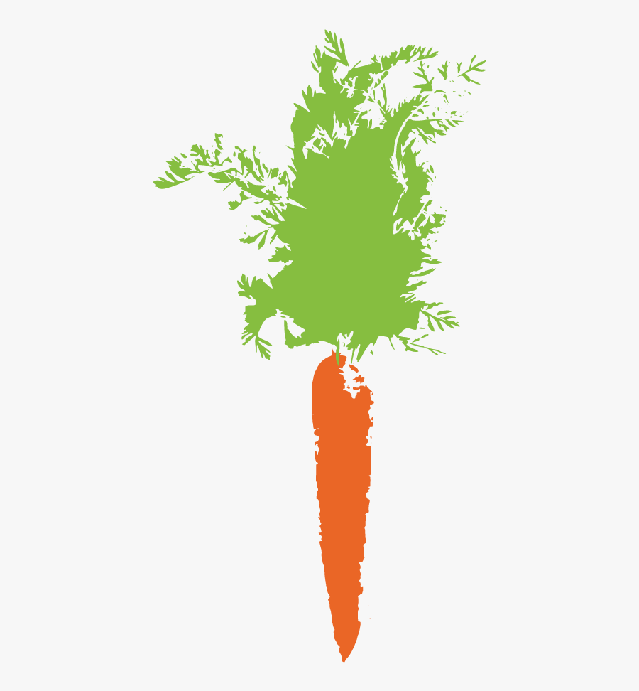 Picture Of A Carrot - Illustration, Transparent Clipart
