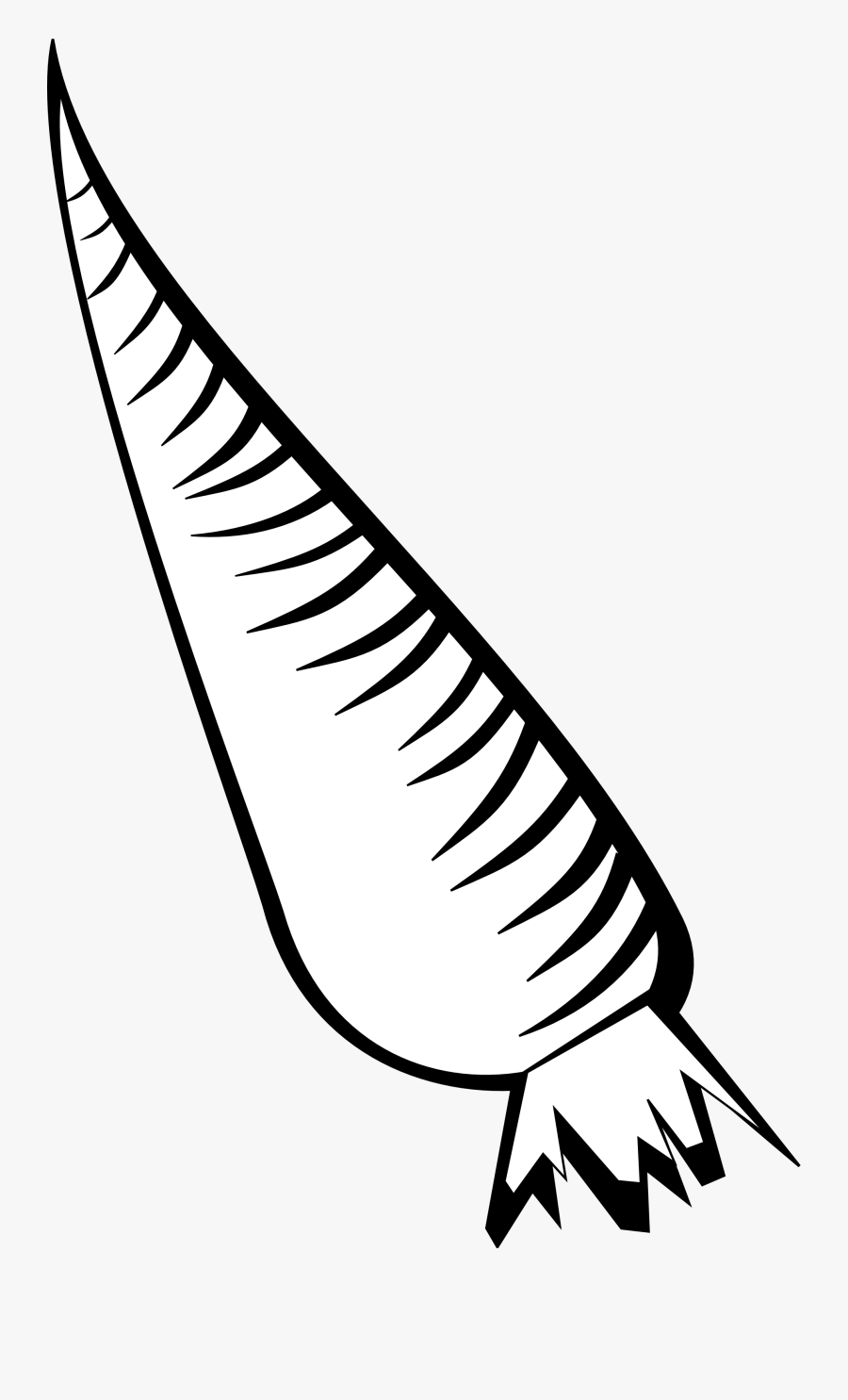 Carrot Clipart Black And White - Clipart Gajar Black And White, Transparent Clipart