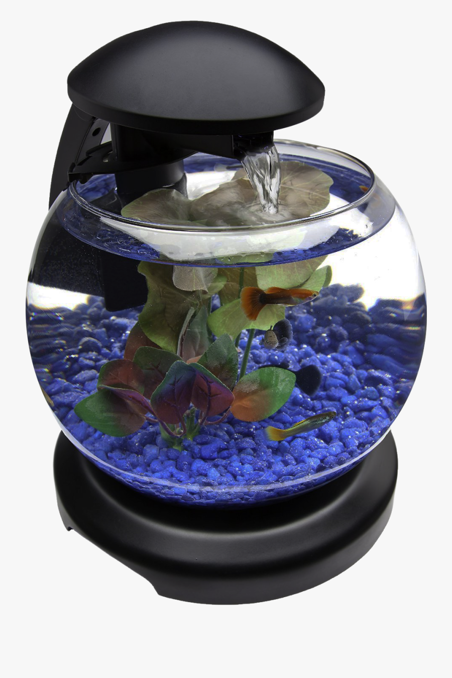 Glob Aquarium Transparent Image - Fish Tanks & Aquariums Png, Transparent Clipart