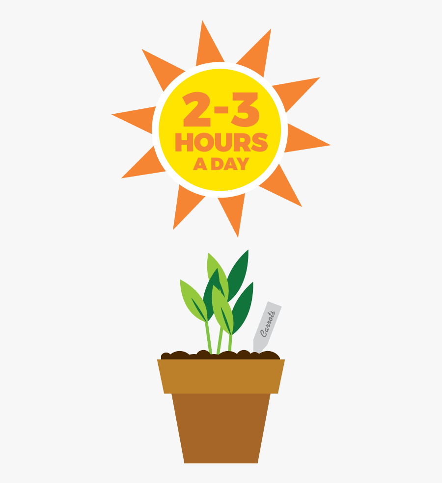 Seedling Clipart Sunlight Plant - Flowerpot, Transparent Clipart
