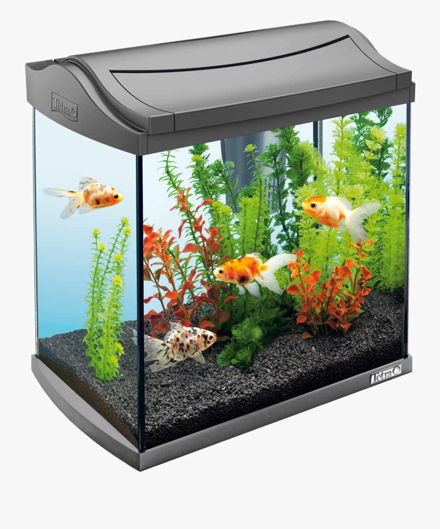 67572 - Tetra Aqua Art 30l, Transparent Clipart