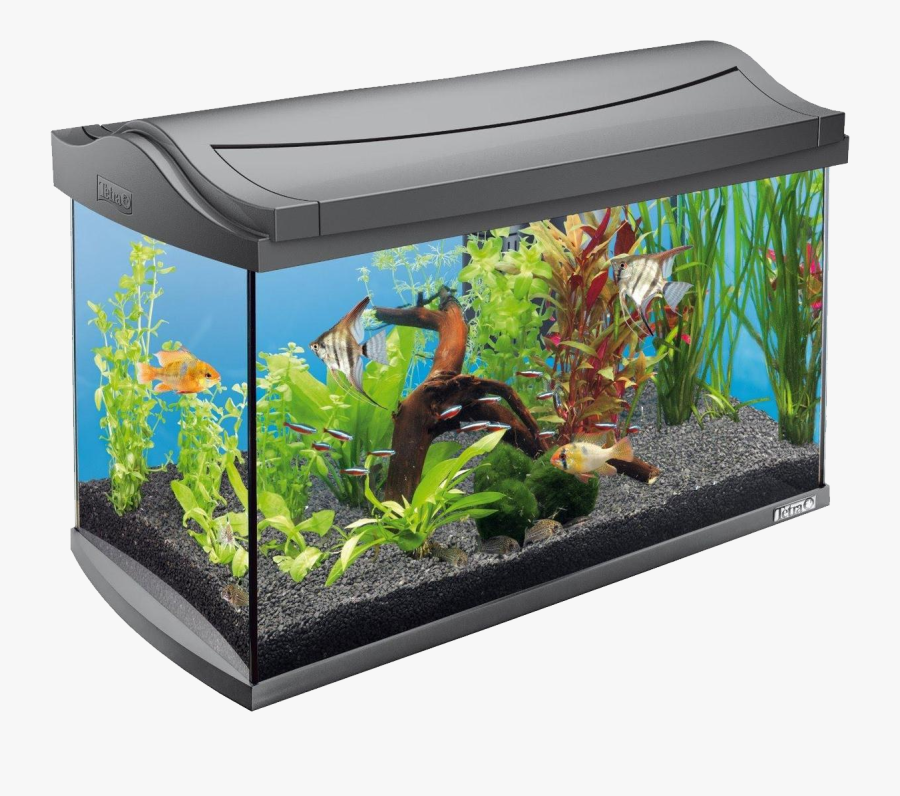 Aquarium Png - Tetra Aquaart 60l, Transparent Clipart