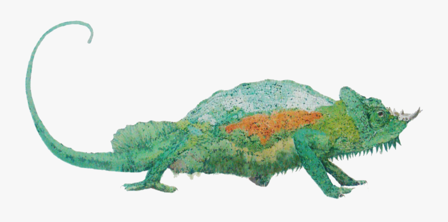 Clip Art Chameleon Illustration - Illustration, Transparent Clipart