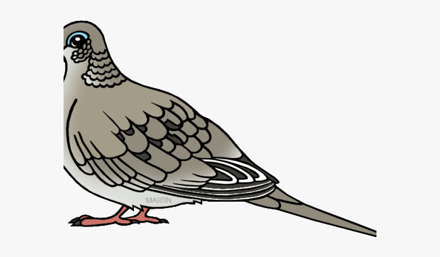 Mourning Dove Clip Art, Transparent Clipart