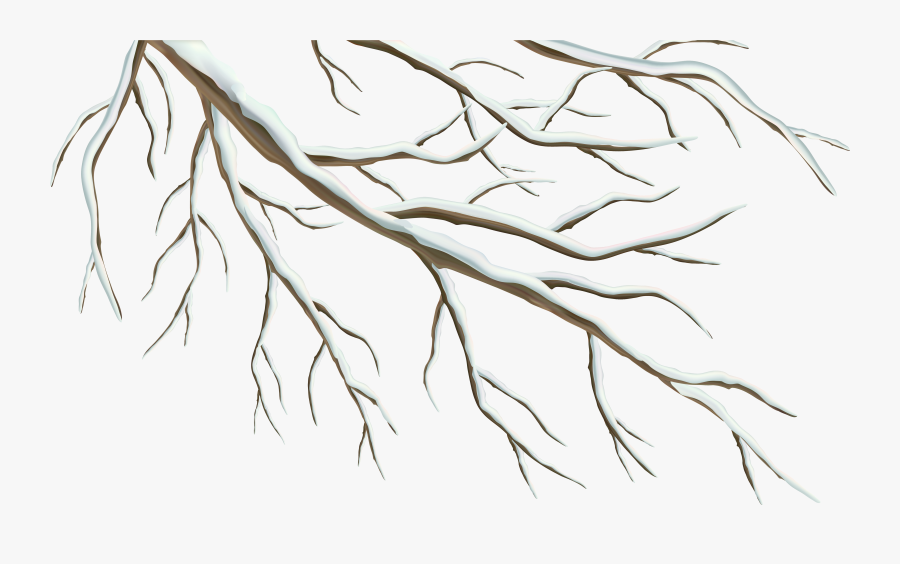Winter Branch Png Clipart Image - Winter Branch Png, Transparent Clipart