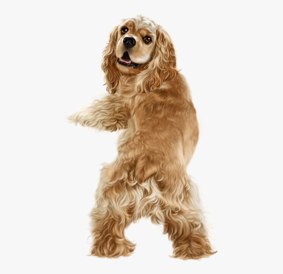 Happy Friday - Cocker Spaniel Png, Transparent Clipart