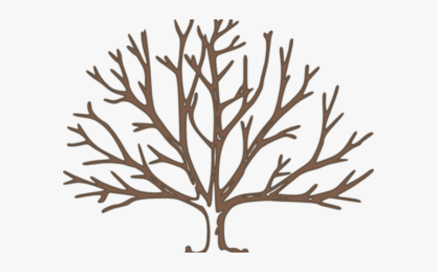Transparent Dead Tree Png - Draw A Winter Tree, Transparent Clipart