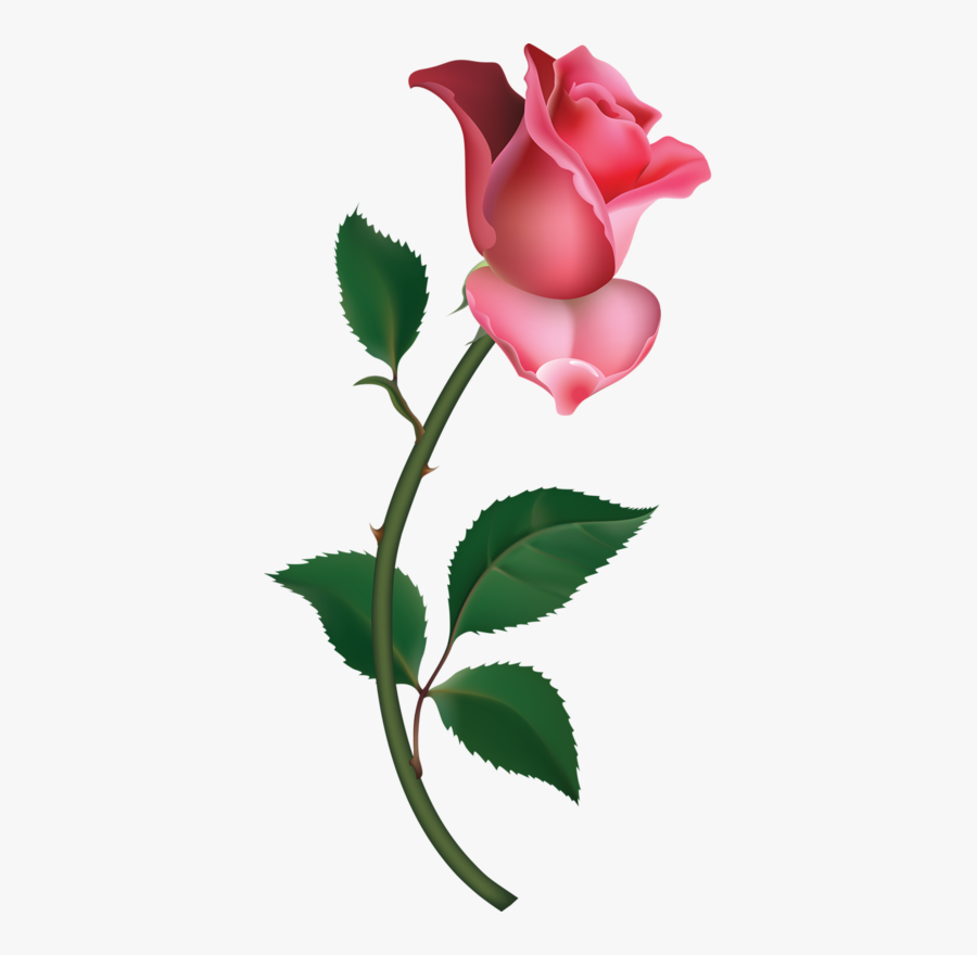 Vector Transparent Library Transparent Painting Lovely - Rose Buds Clipart, Transparent Clipart