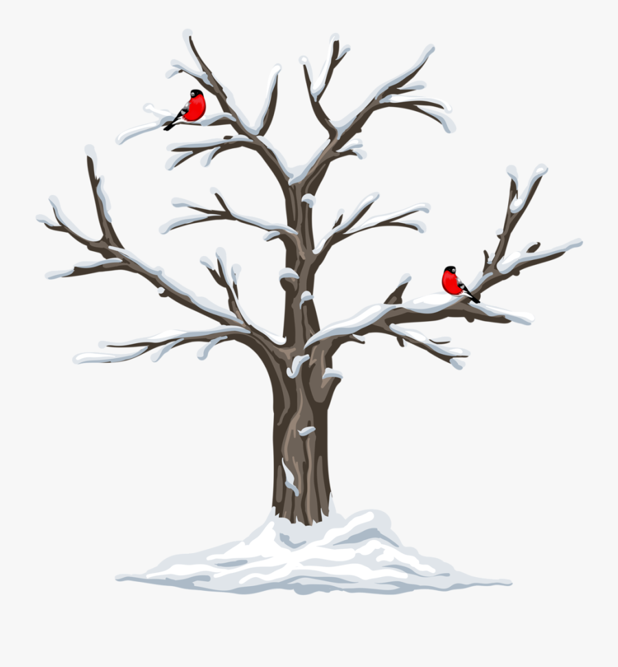 Garden Clipart, Weather Seasons, Clip Art, Christmas - 4 Seasons Tree Template, Transparent Clipart