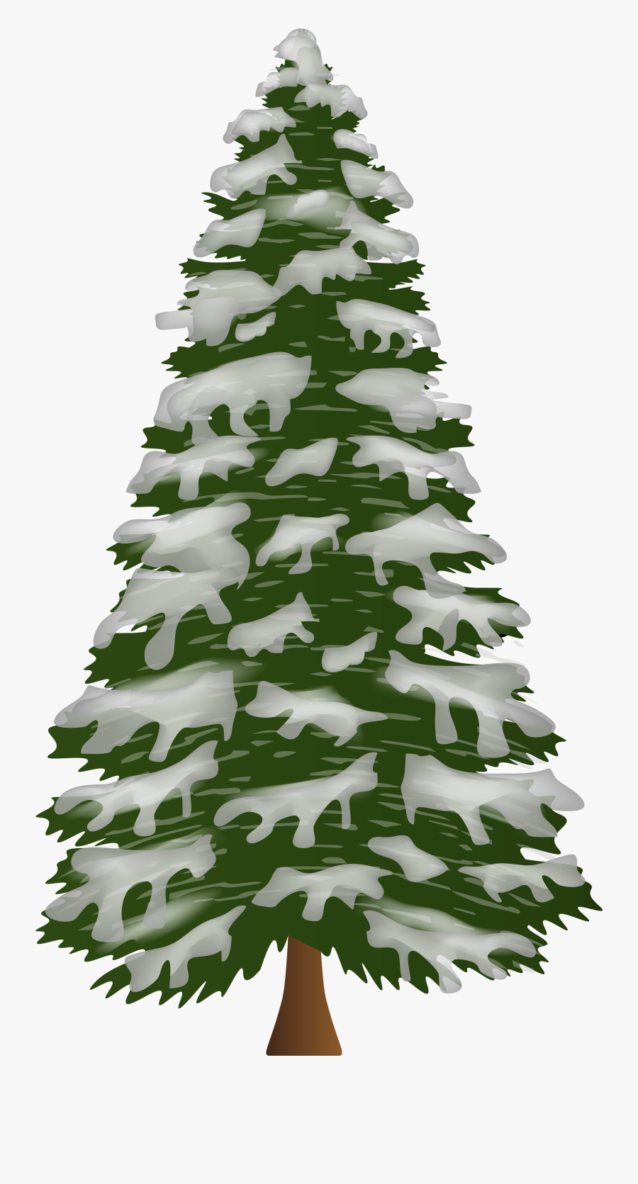Pine Tree With Snow Png Clip Art - Christmas Tree, Transparent Clipart