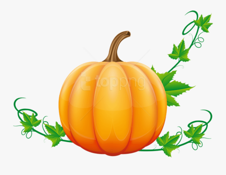 Foods,clip Food,produce - Pumpkin Png, Transparent Clipart