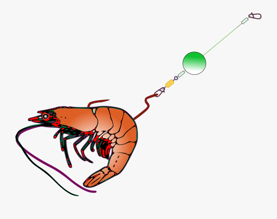 Decapoda,jaw,seafood - Bait For Fishing Clipart, Transparent Clipart
