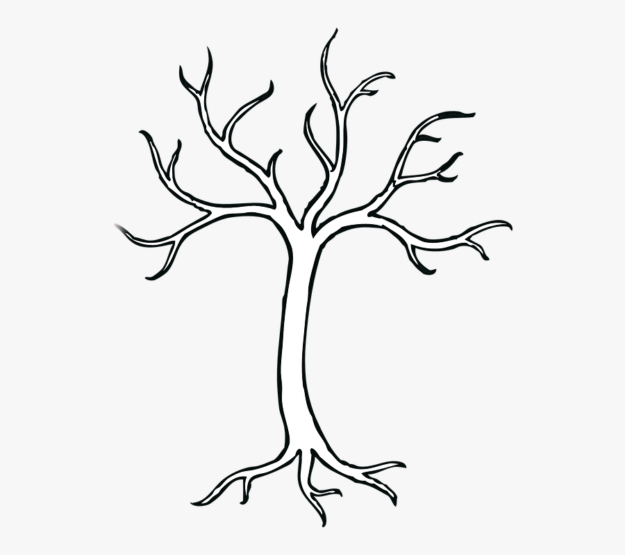 Tree, Branches, Leafless, Bare, Winter, Trunk, Nature - Tree With 5 Branches, Transparent Clipart