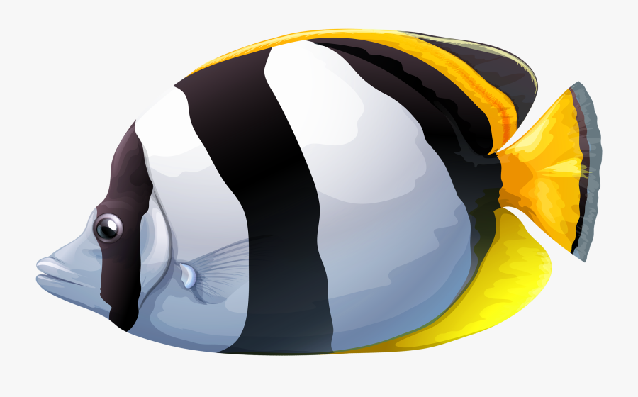 White Chaetodon Butterfly Fish Png Clipart - Transparent Background Tropical Fish Clipart, Transparent Clipart
