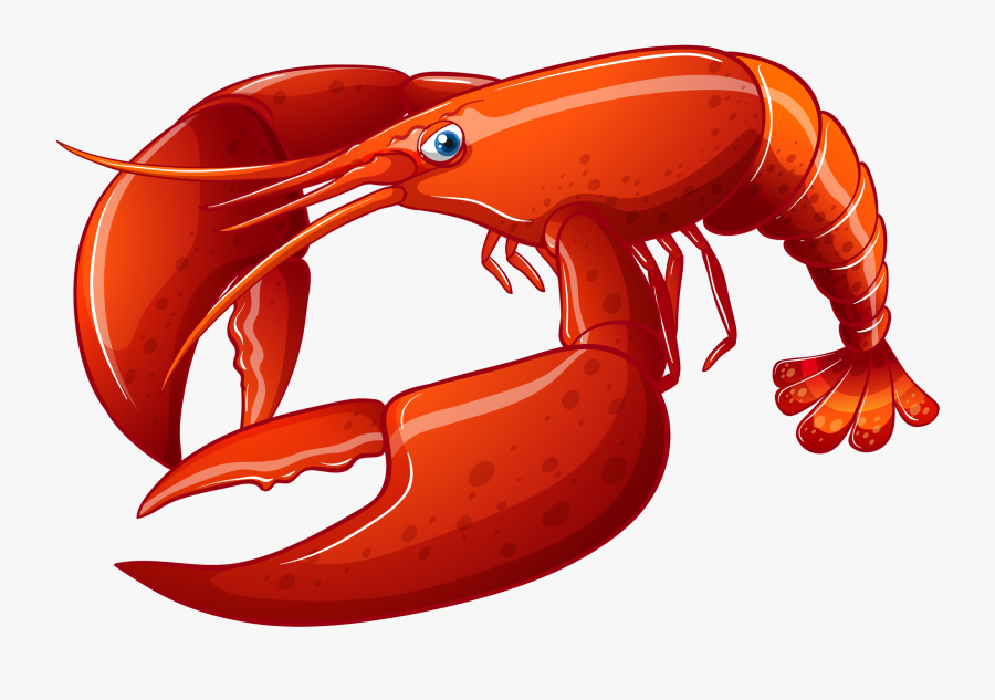 Lobster Illustration, Transparent Clipart