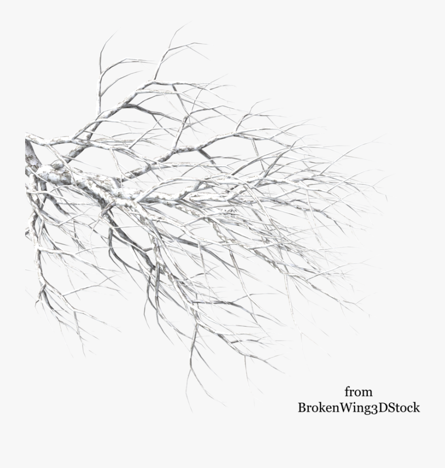 Snowy Tree Drawing At Getdrawings - Winter Tree Branch Png, Transparent Clipart