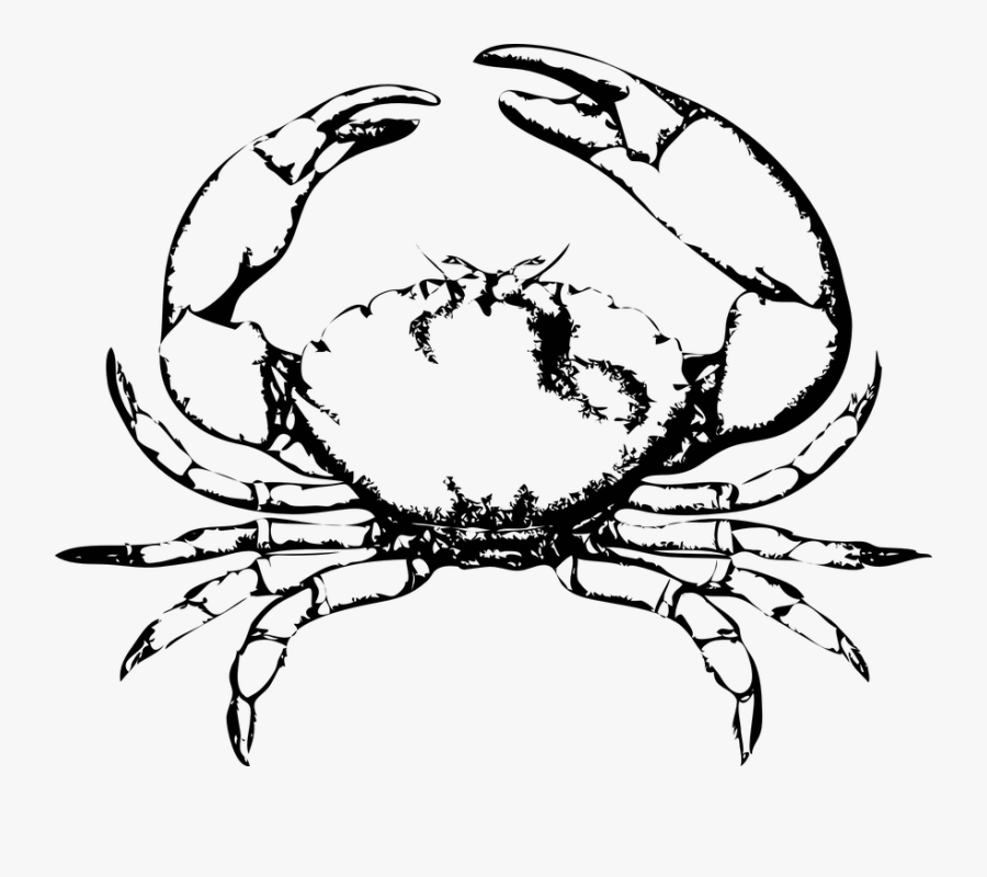 Crab Pinchers Claws Ocean Crustacean Wildlife - Crab Clip Art, Transparent Clipart