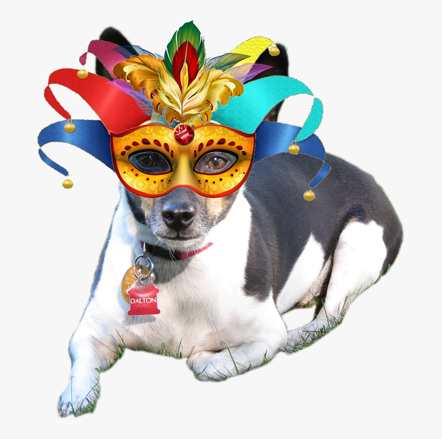 Miniature Fox Terrier, Transparent Clipart