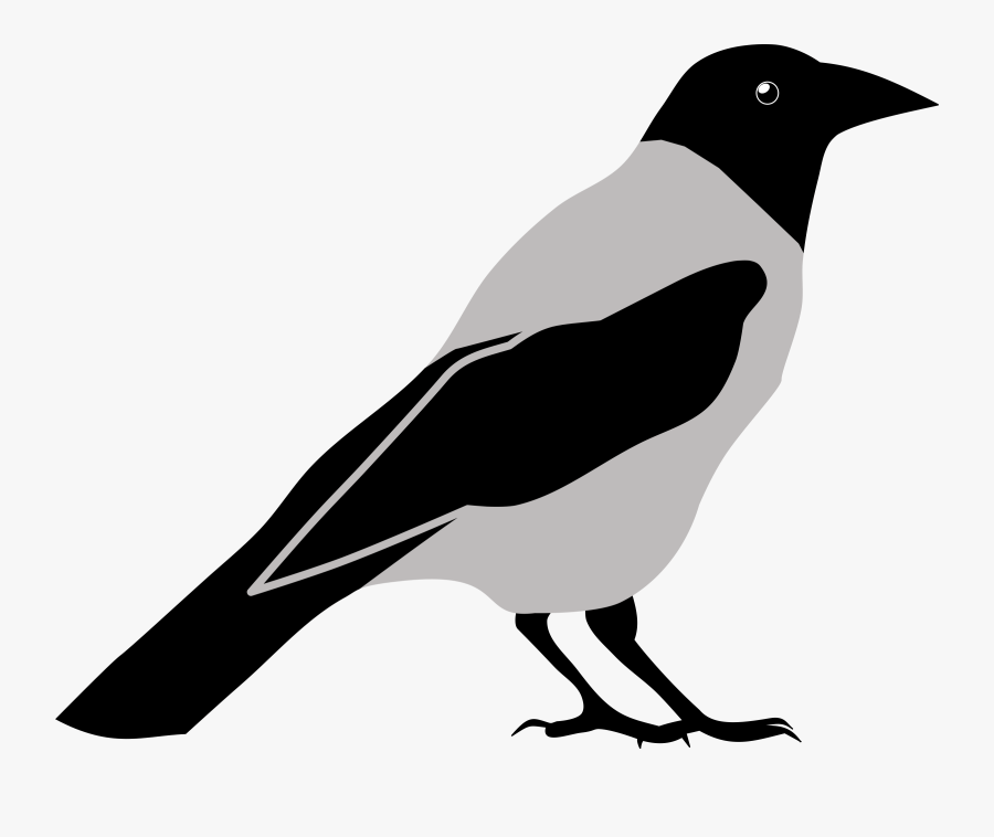 Crow Clipart Black And White, Transparent Clipart
