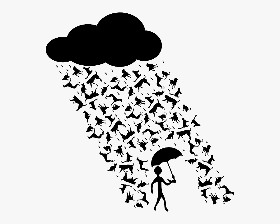Raining Cats And Dogs Clipart, Transparent Clipart