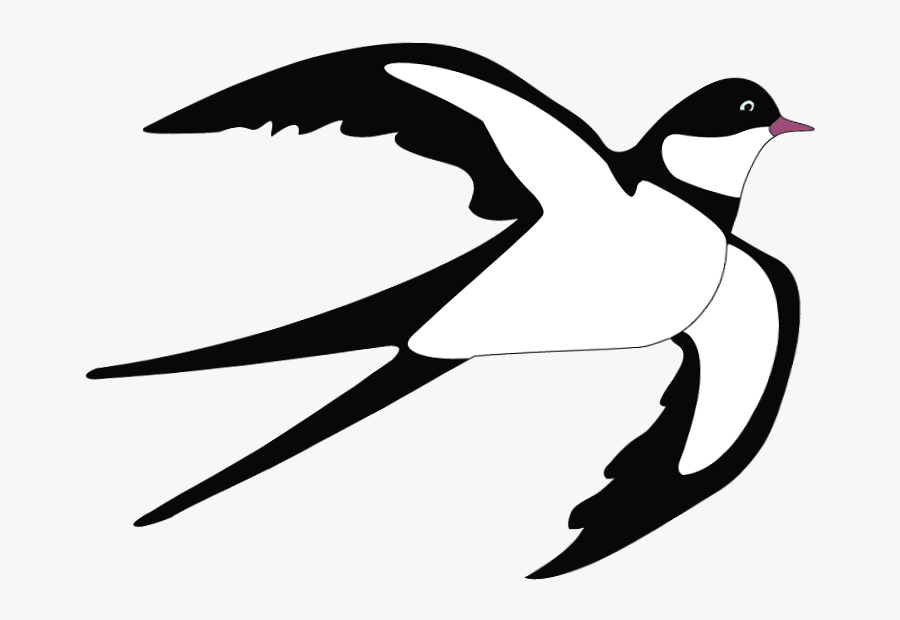 Swallow Clipart, Transparent Clipart